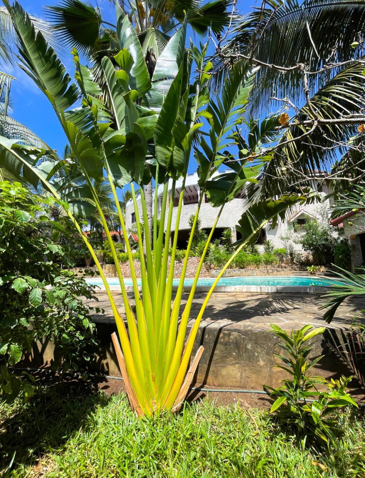 Tembo Village Watamu Exterior photo